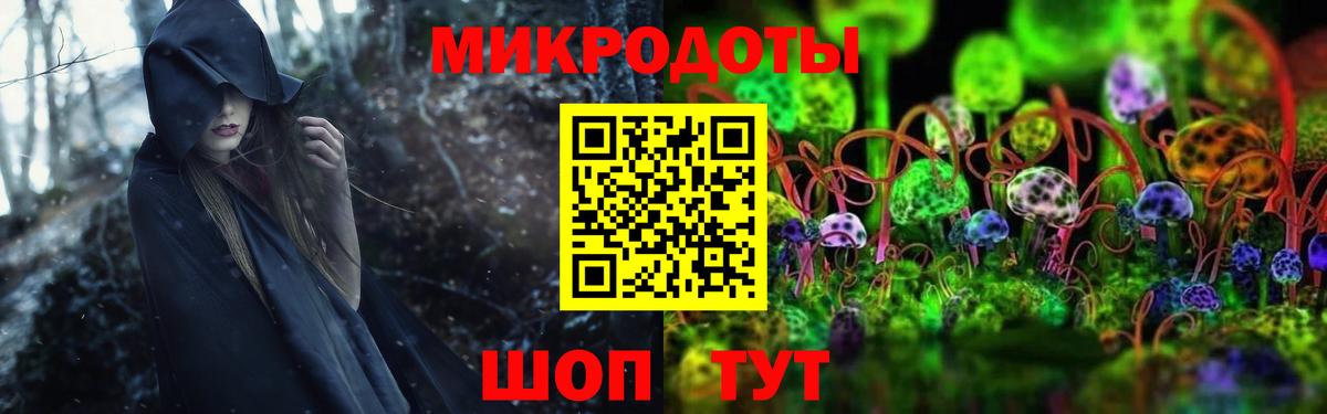 Галлюциногенные грибы Psilocybine cubensis Гуково